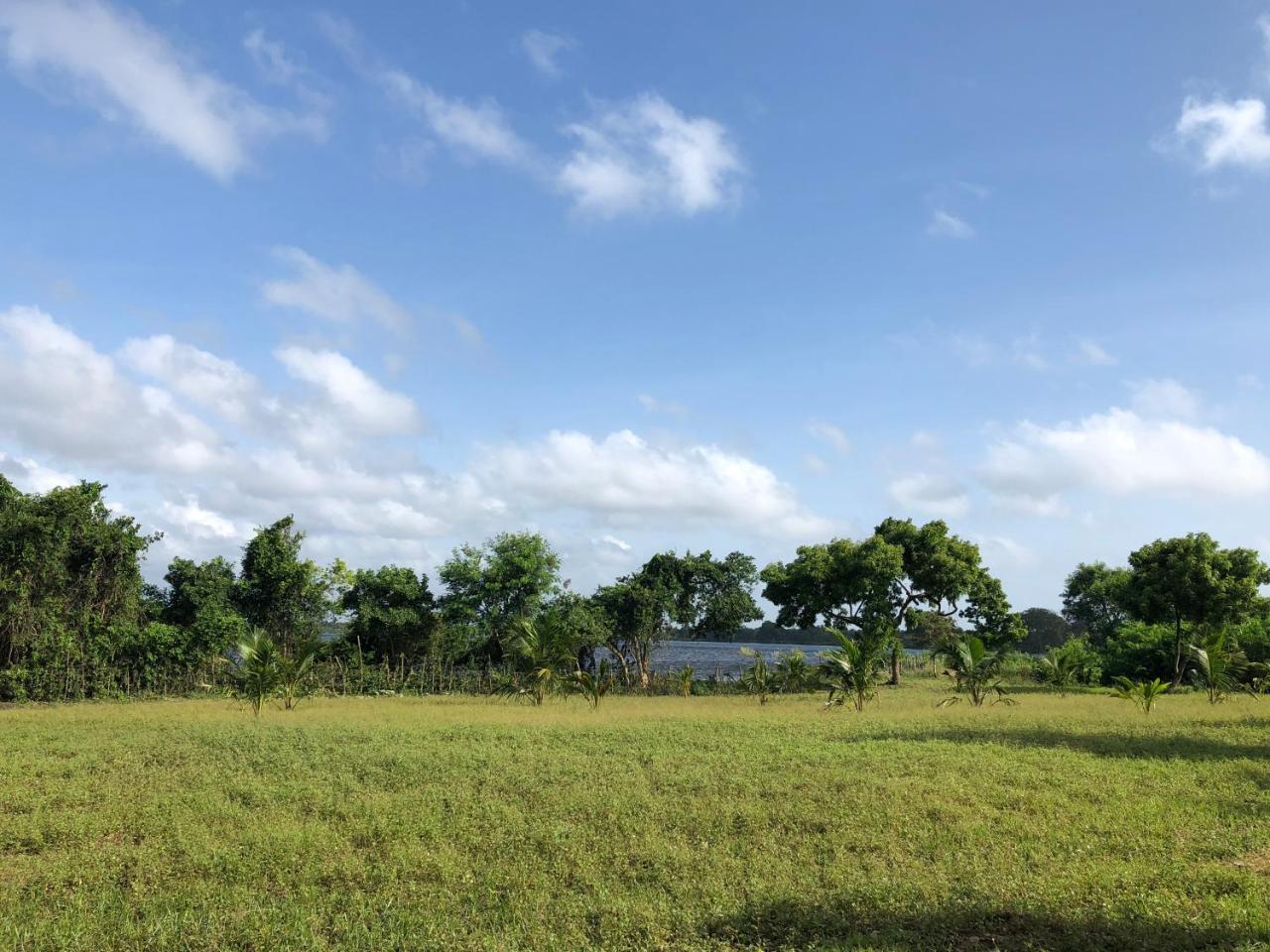 Captain'S Bird Safari Lodge Puttalam Kültér fotó