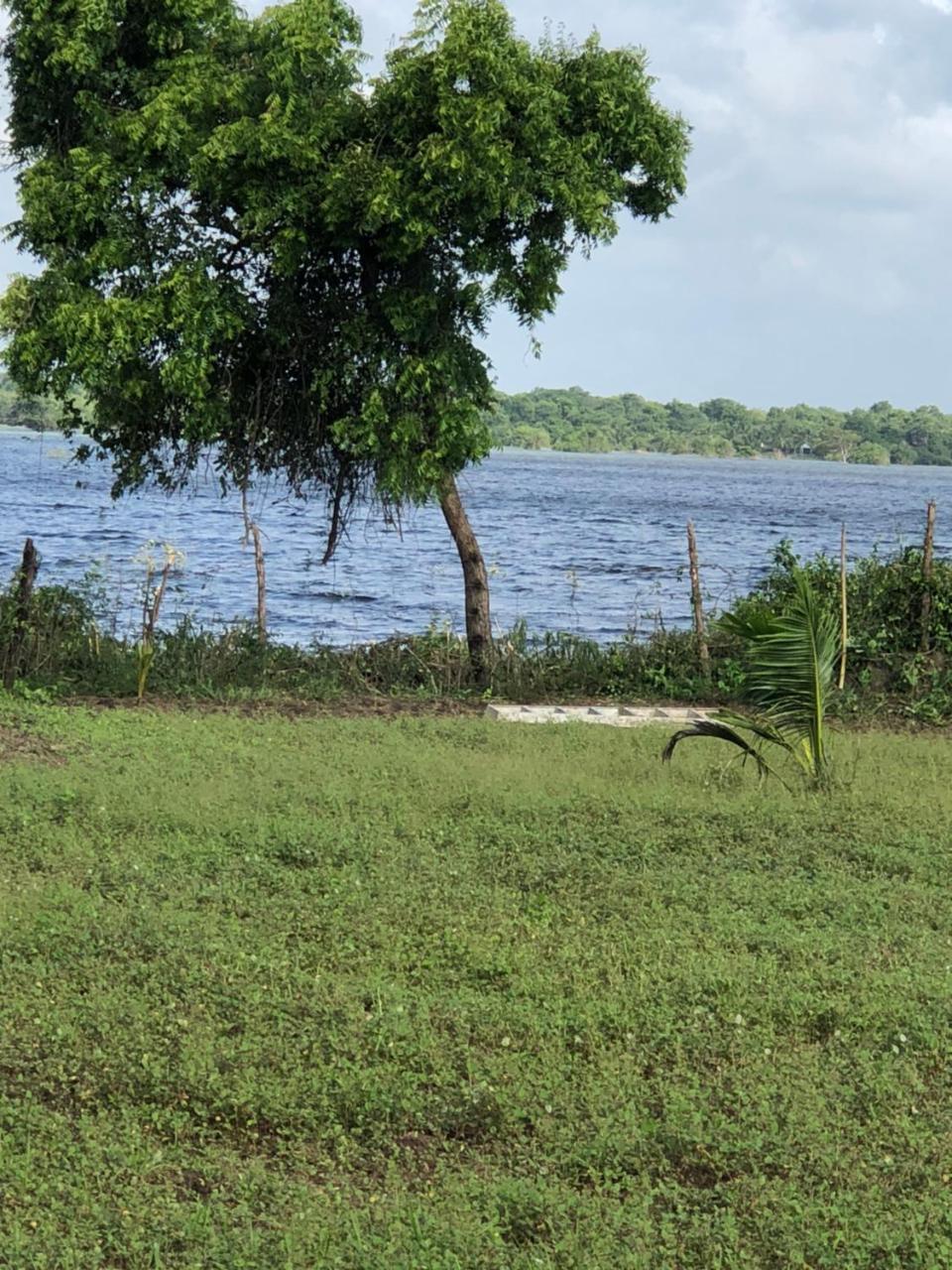 Captain'S Bird Safari Lodge Puttalam Kültér fotó