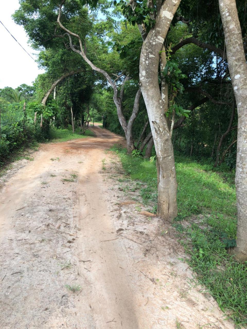 Captain'S Bird Safari Lodge Puttalam Kültér fotó