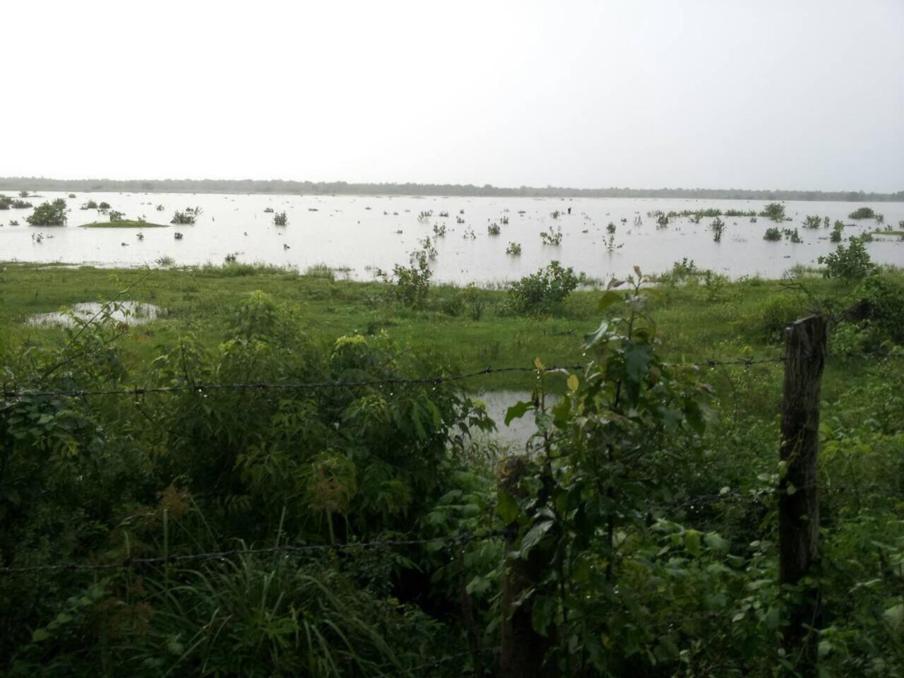 Captain'S Bird Safari Lodge Puttalam Kültér fotó